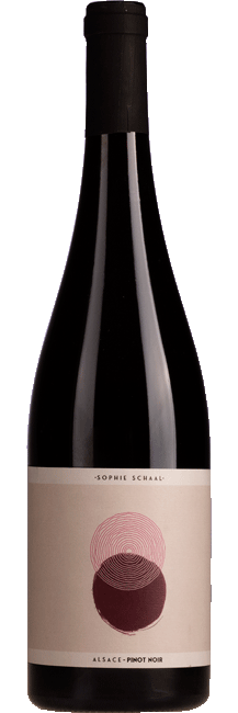 Sophie Schaal Alsace Pinot Noir